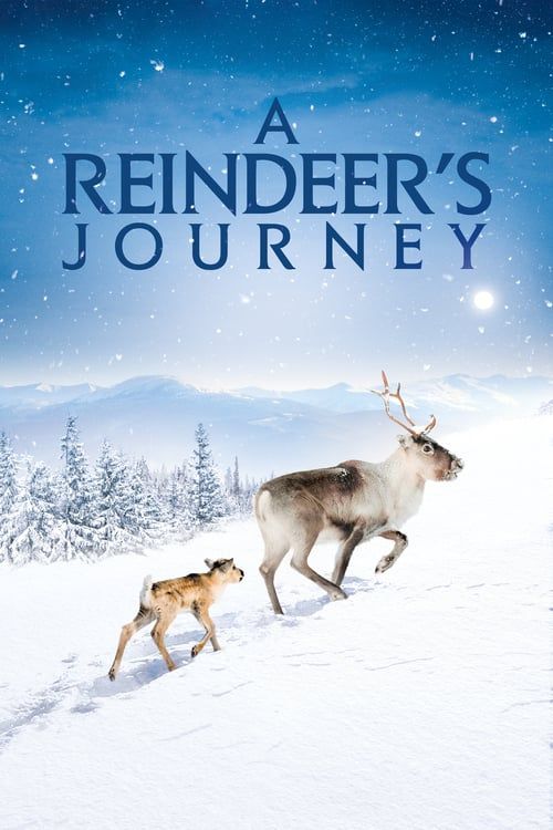 Key visual of A Reindeer's Journey