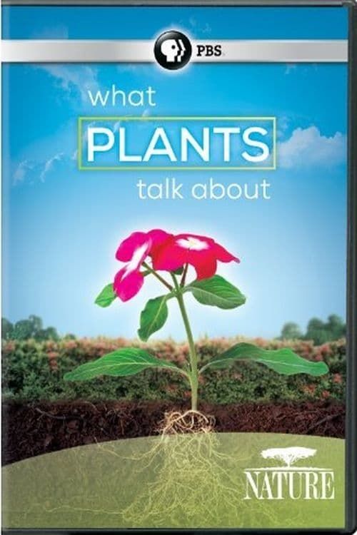 Key visual of PBS NATURE: What Plants Talk About