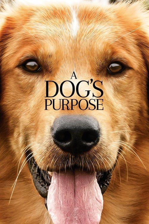 Key visual of A Dog's Purpose