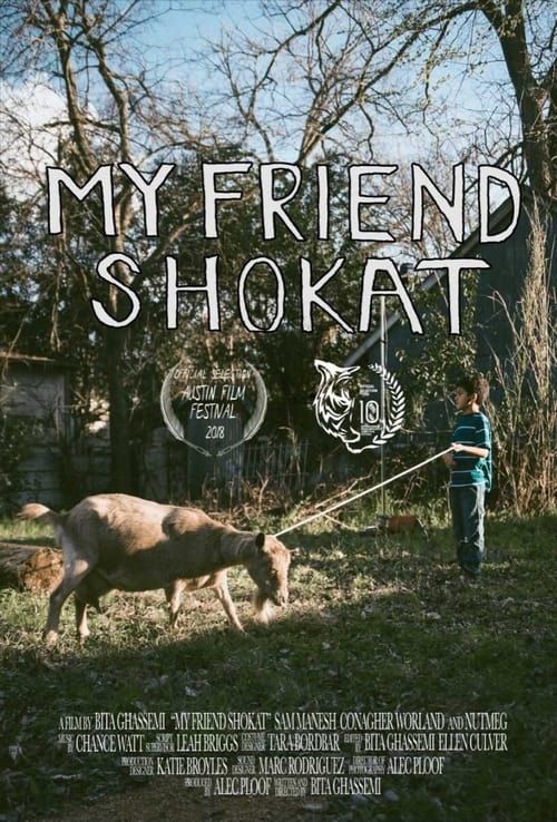 Key visual of My Friend Shokat