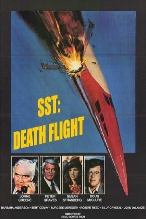 Key visual of SST: Death Flight