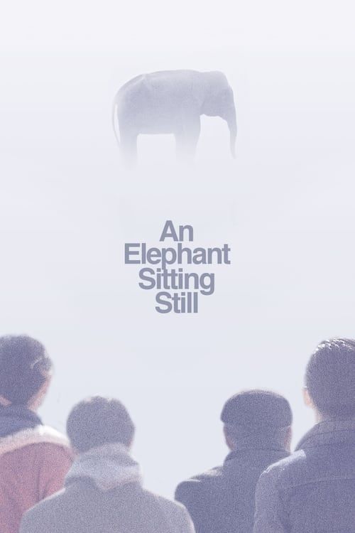 Key visual of An Elephant Sitting Still