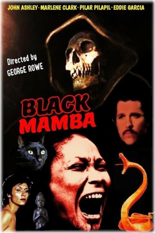Key visual of Black Mamba