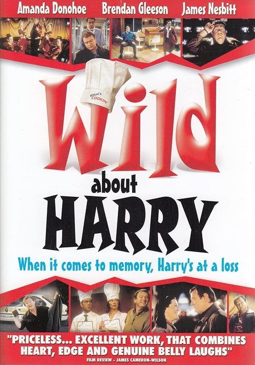 Key visual of Wild About Harry