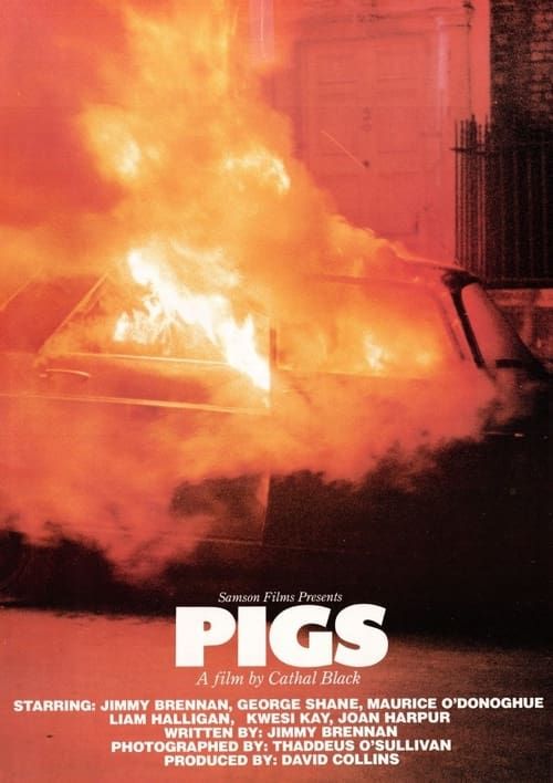 Key visual of Pigs