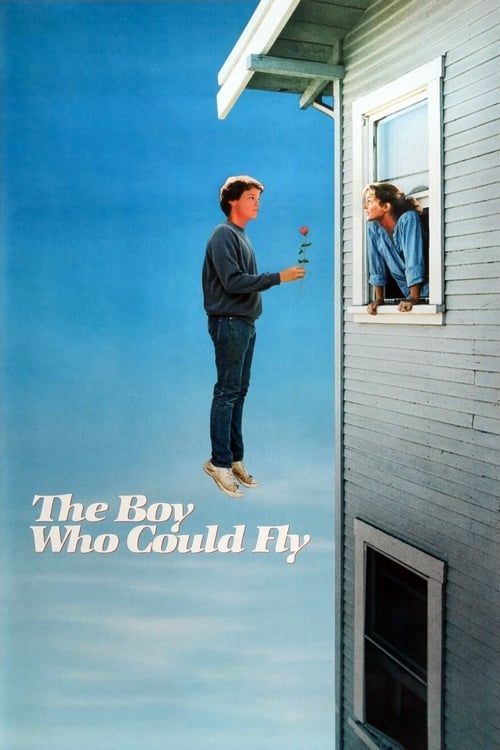 Key visual of The Boy Who Could Fly