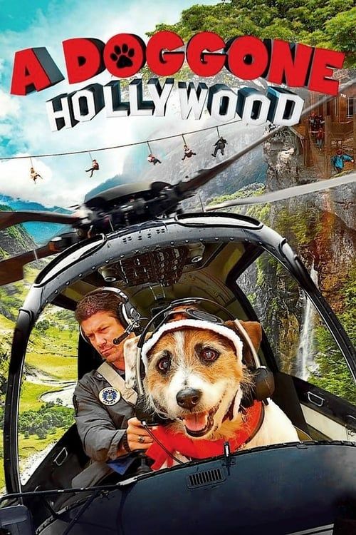 Key visual of A Doggone Hollywood