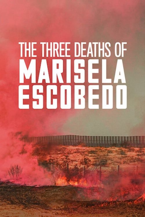 Key visual of The Three Deaths of Marisela Escobedo