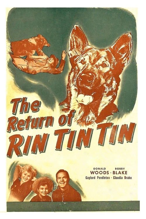 Key visual of The Return of Rin Tin Tin