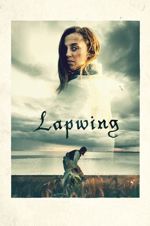 Key visual of Lapwing