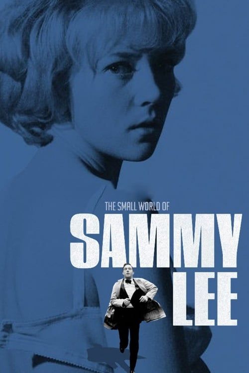 Key visual of The Small World of Sammy Lee