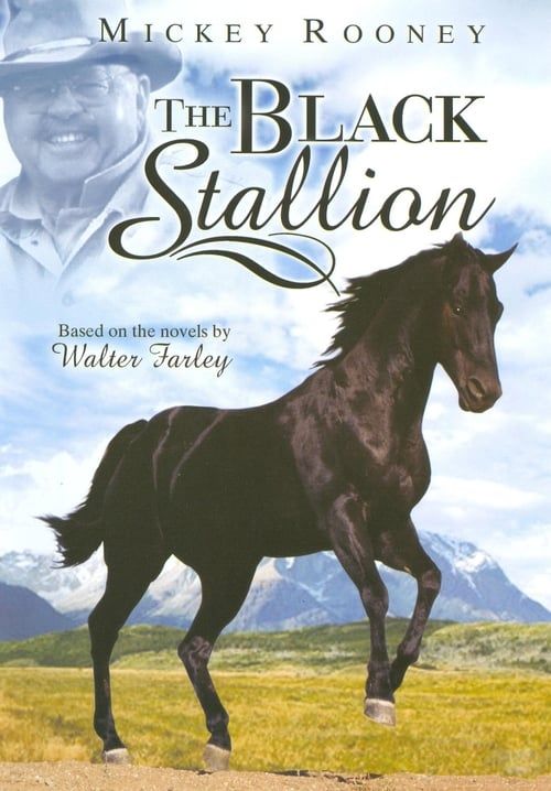 Key visual of Adventures of the Black Stallion