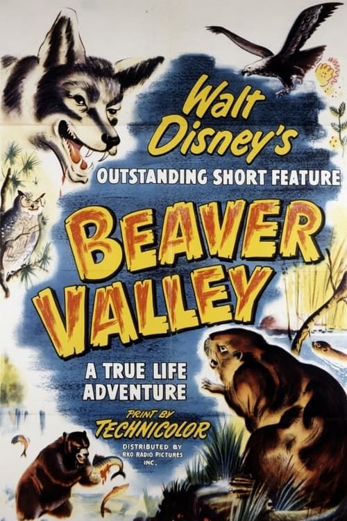 Key visual of Beaver Valley