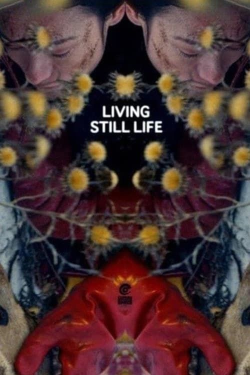 Key visual of Living Still Life