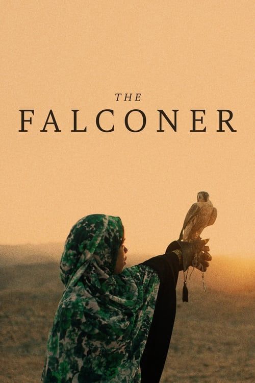 Key visual of The Falconer