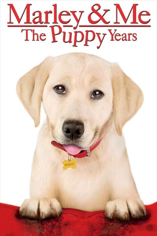 Key visual of Marley & Me: The Puppy Years