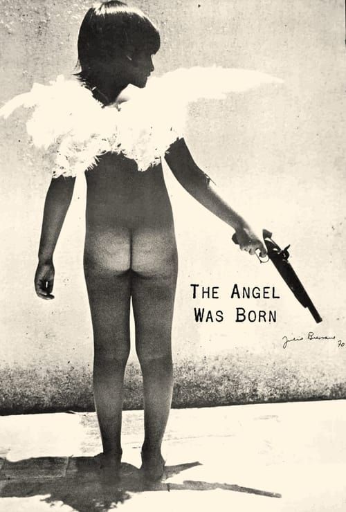 Key visual of The Angel Was Born