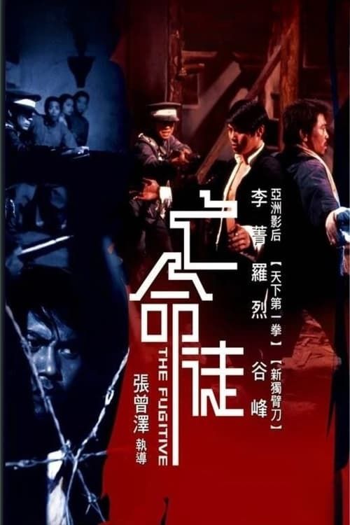 Key visual of The Fugitive