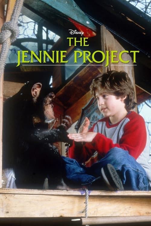 Key visual of The Jennie Project