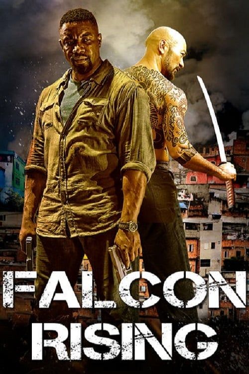 Key visual of Falcon Rising