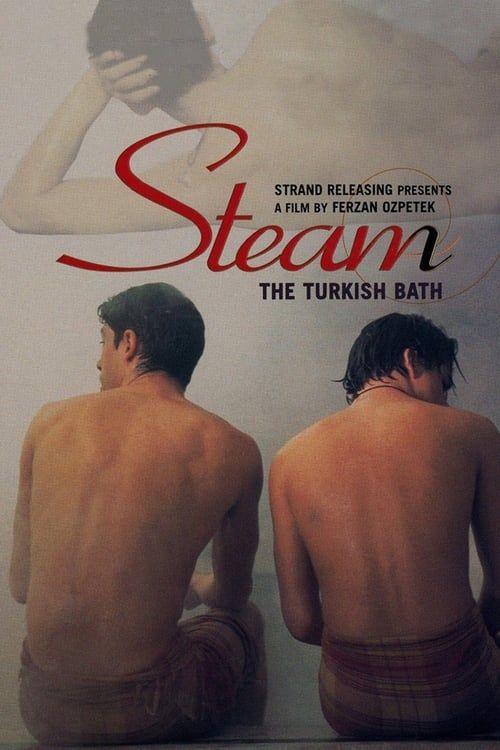 Key visual of Steam: The Turkish Bath