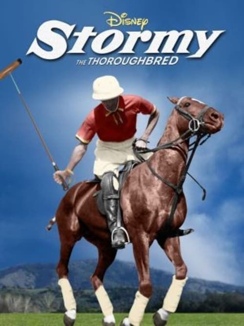 Key visual of Stormy, the Thoroughbred