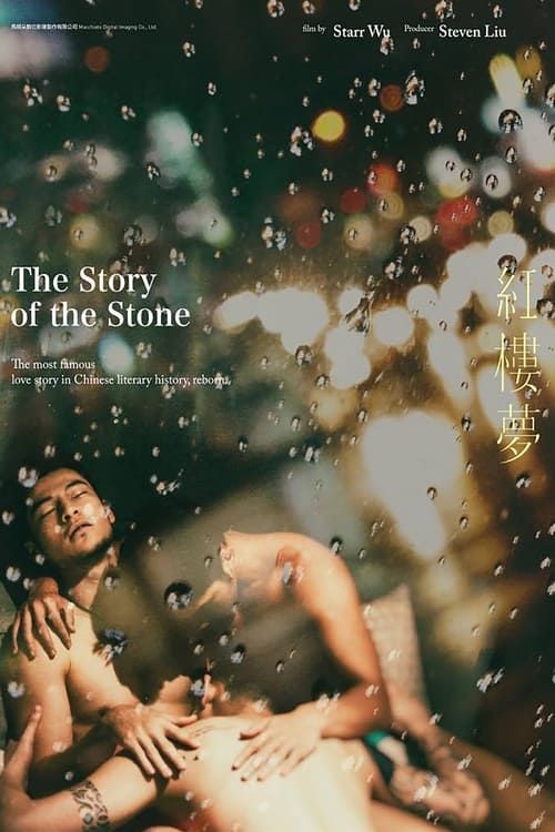 Key visual of The Story of the Stone