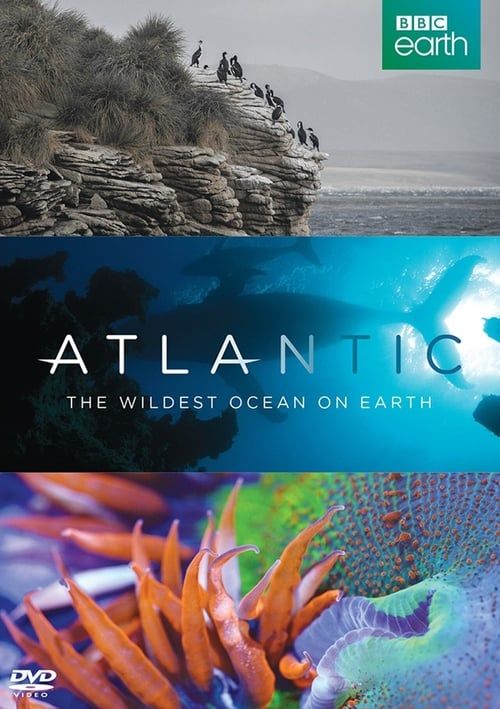 Key visual of Atlantic: The Wildest Ocean on Earth