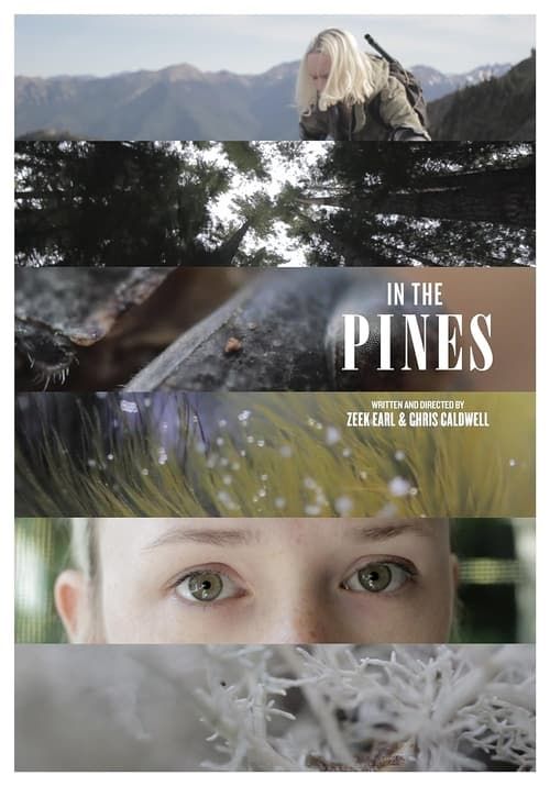 Key visual of In the Pines