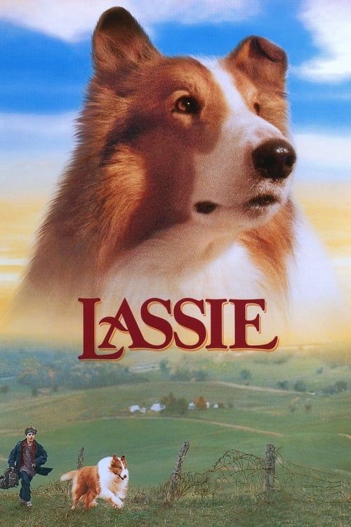 Key visual of Lassie