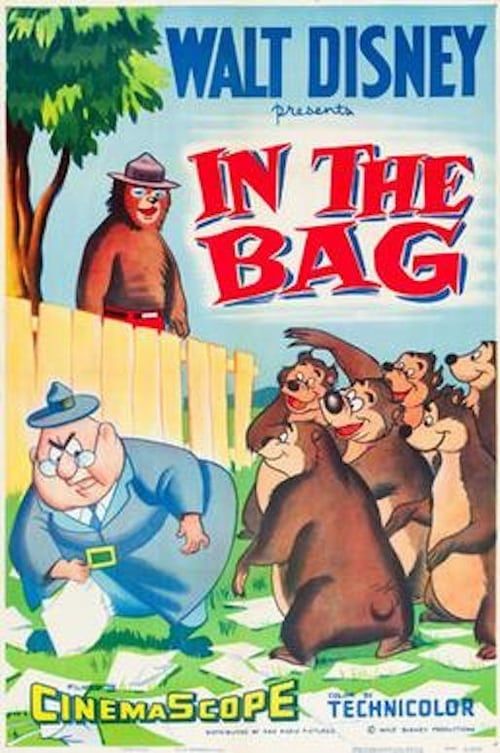 Key visual of In the Bag