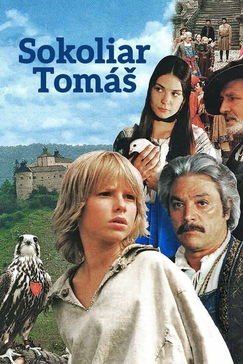 Key visual of Tomáš and the Falcon King