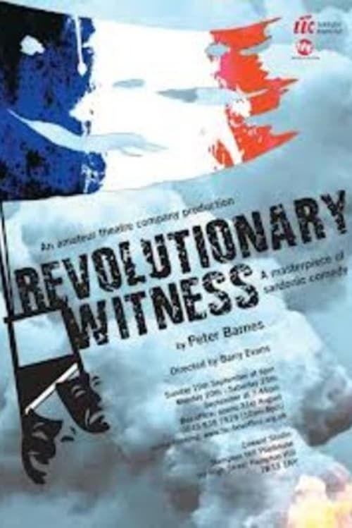 Key visual of Revolutionary Witness