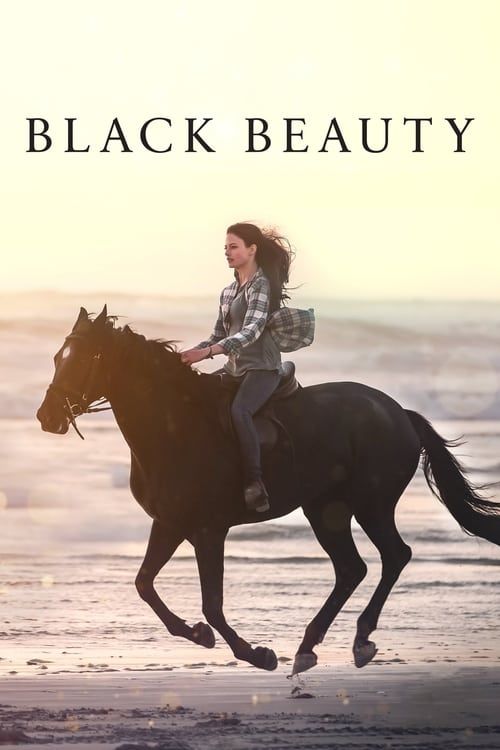 Key visual of Black Beauty