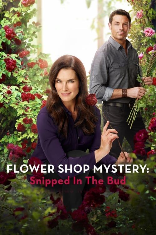 Key visual of Flower Shop Mystery: Snipped in the Bud