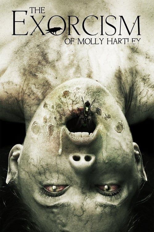 Key visual of The Exorcism of Molly Hartley