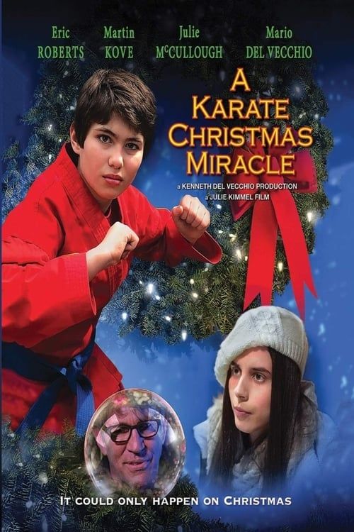 Key visual of A Karate Christmas Miracle