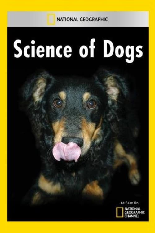 Key visual of National Geographic Explorer: Science of Dogs