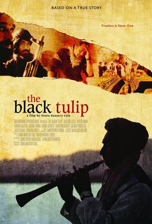 Key visual of The Black Tulip