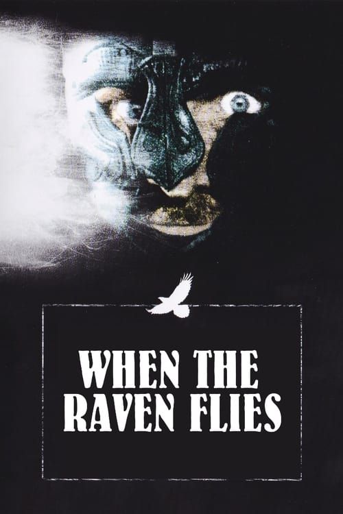 Key visual of When the Raven Flies