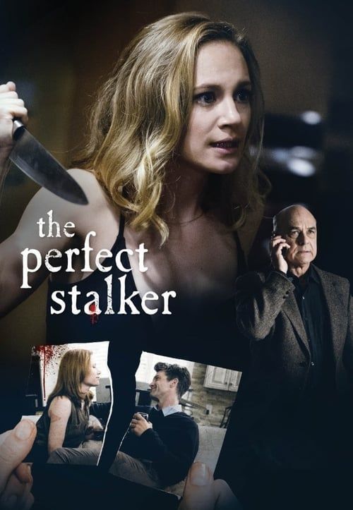 Key visual of The Perfect Stalker