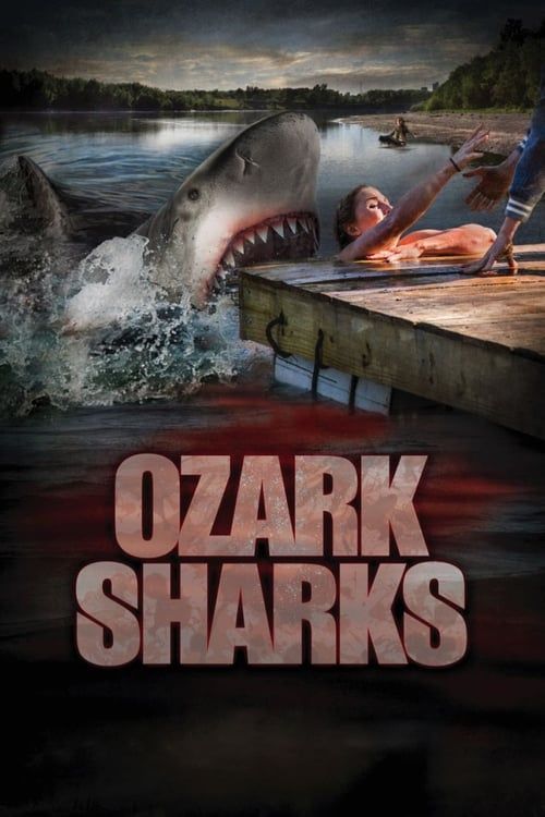 Key visual of Ozark Sharks