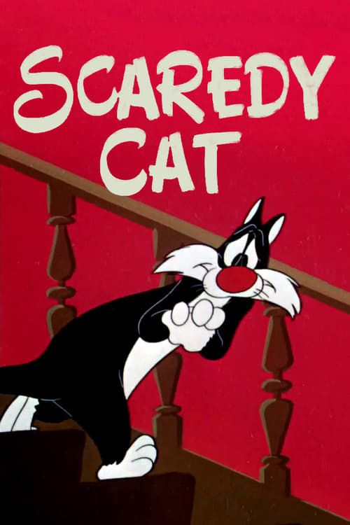 Key visual of Scaredy Cat