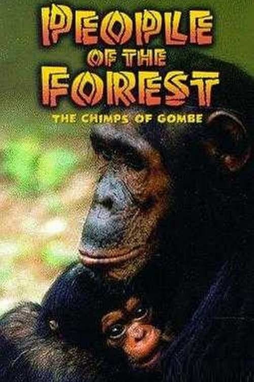 Key visual of People of the Forest: The Chimps of Gombe