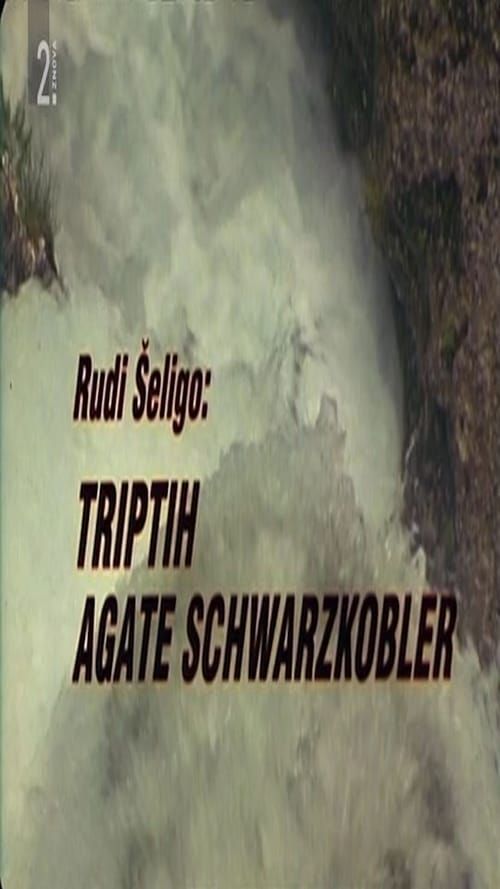 Key visual of Triptych of Agata Schwarzkobler