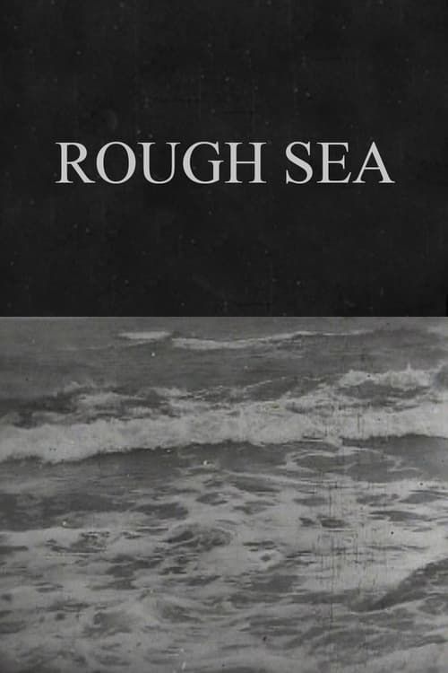 Key visual of Rough Sea