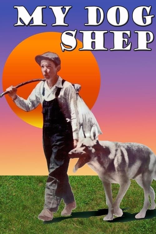 Key visual of My Dog Shep