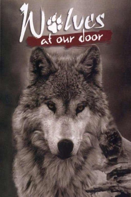 Key visual of Wolves at Our Door