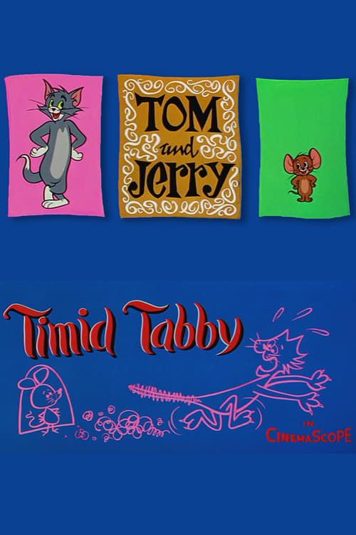 Key visual of Timid Tabby