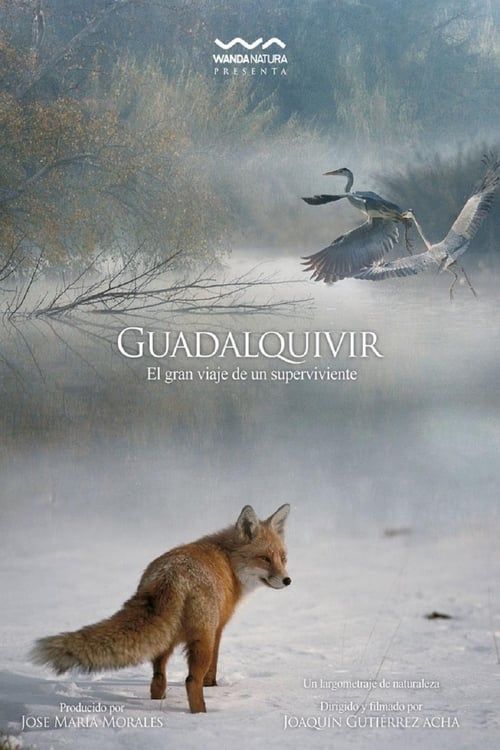 Key visual of Guadalquivir